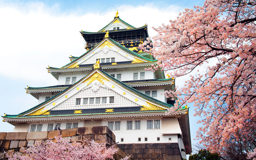 osaka-sakura